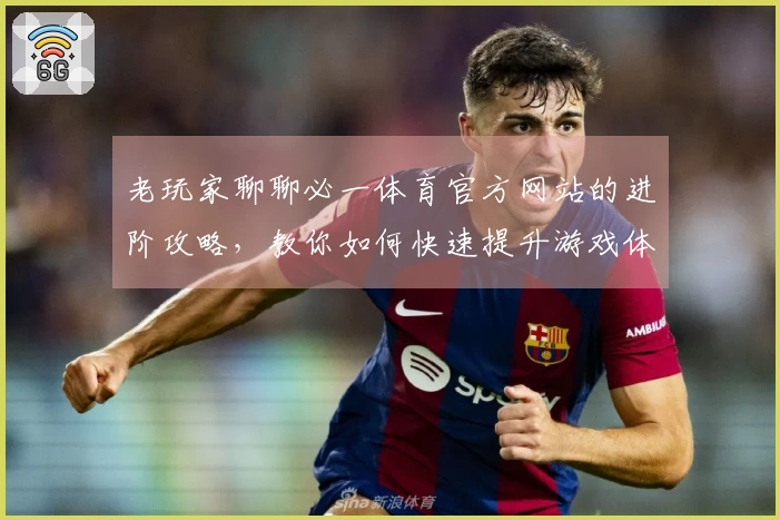 老玩家聊聊必一体育官方网站的进阶攻略，教你如何快速提升游戏体验和收益