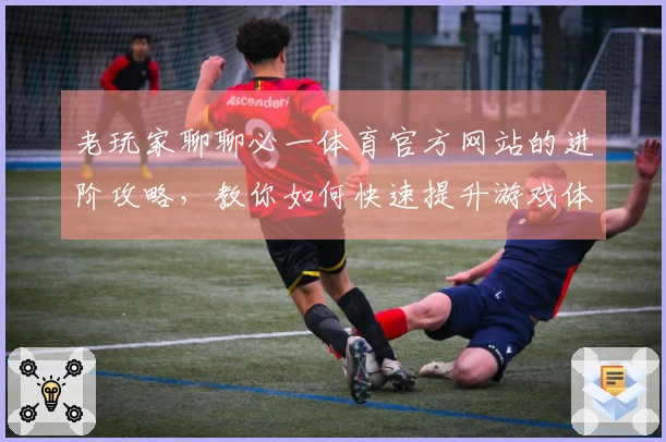 老玩家聊聊必一体育官方网站的进阶攻略，教你如何快速提升游戏体验和收益